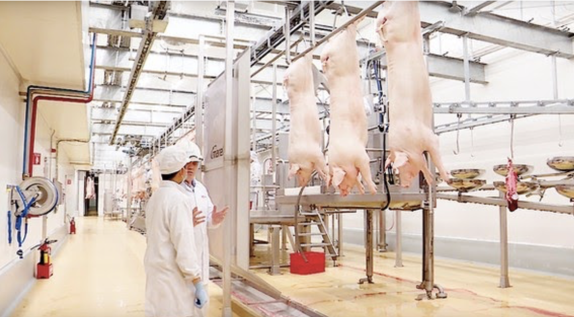 Thịt sạch và những yếu tố lựa chọn đạt chuẩn an toàn cho người tiêu dùng