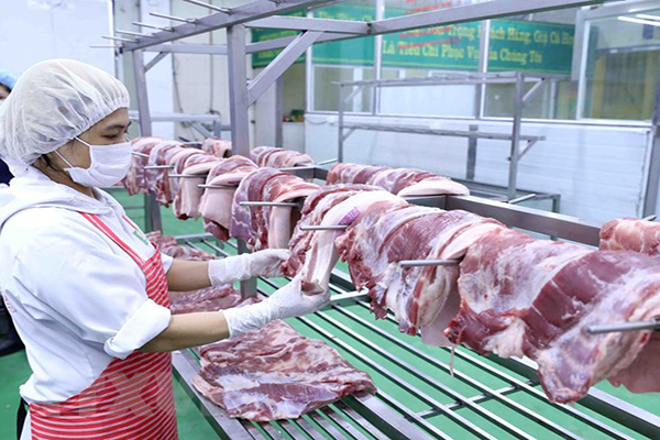 thịt lợn sạch hữu cơ