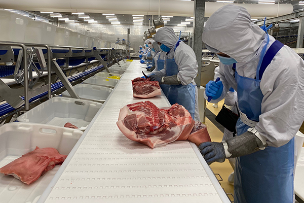  Thịt lợn sạch hữu cơ lí thuyết và thực tế