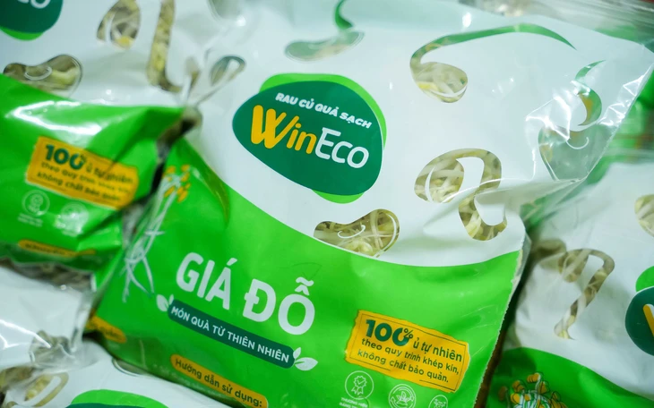 WinEco nâng chất lượng giá đỗ Việt nhờ công nghệ và kiểm soát quy trình
