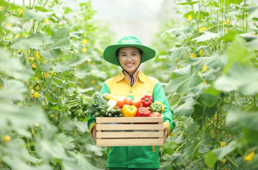  WinEco: 12 Nông Trường, 3.000 Ha Đất Canh Tác Và Hàng Trăm Nghìn Tấn Rau Củ Quả Sạch Mỗi Năm